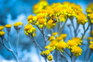 足坛盛宴落幕！世界杯精彩回放，一场关于梦想的终极对决！