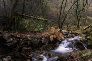 VAR惹争议！五大联赛裁判判罚引爆球迷大战！