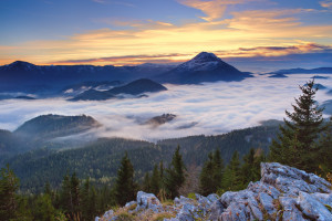 情感投入！2026世界杯球迷助威团，为梦想呐喊！